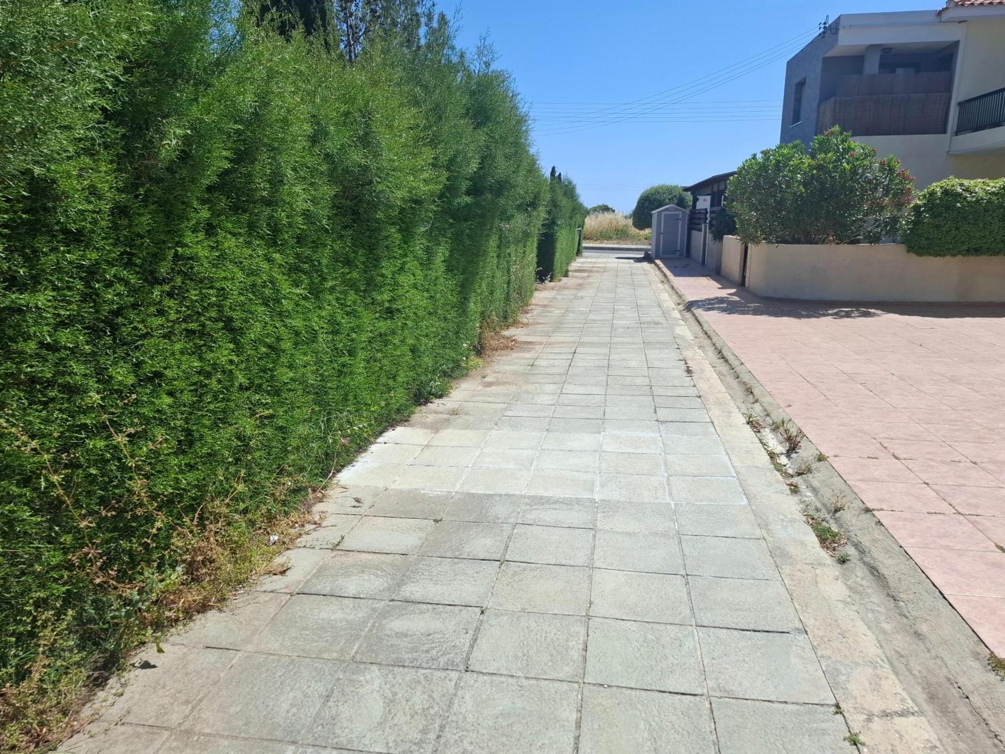 Sunset Green 01 بافوس المظهر الخارجي الصورة